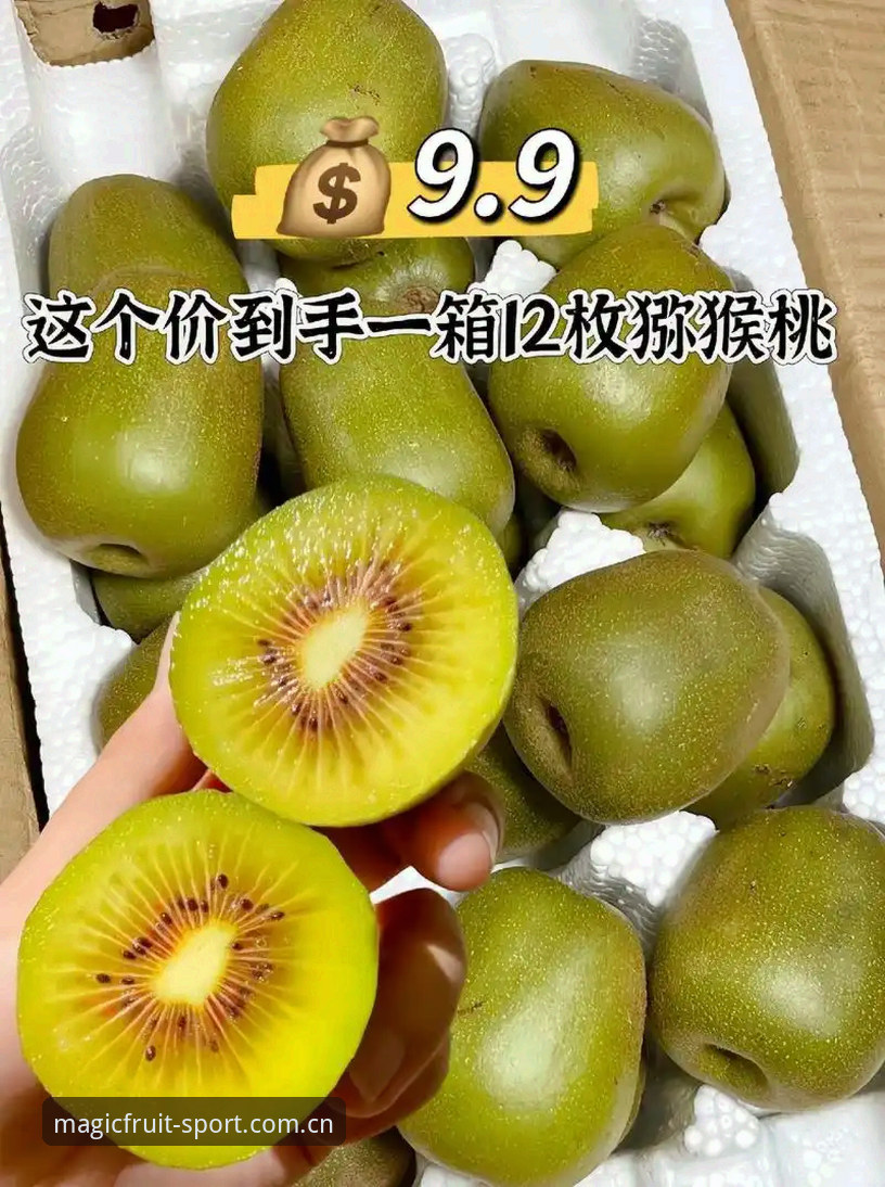 奇异果体育手机版哪个好 奇异果体育手机版哪个好?移动端多维度对比与深度评测解析