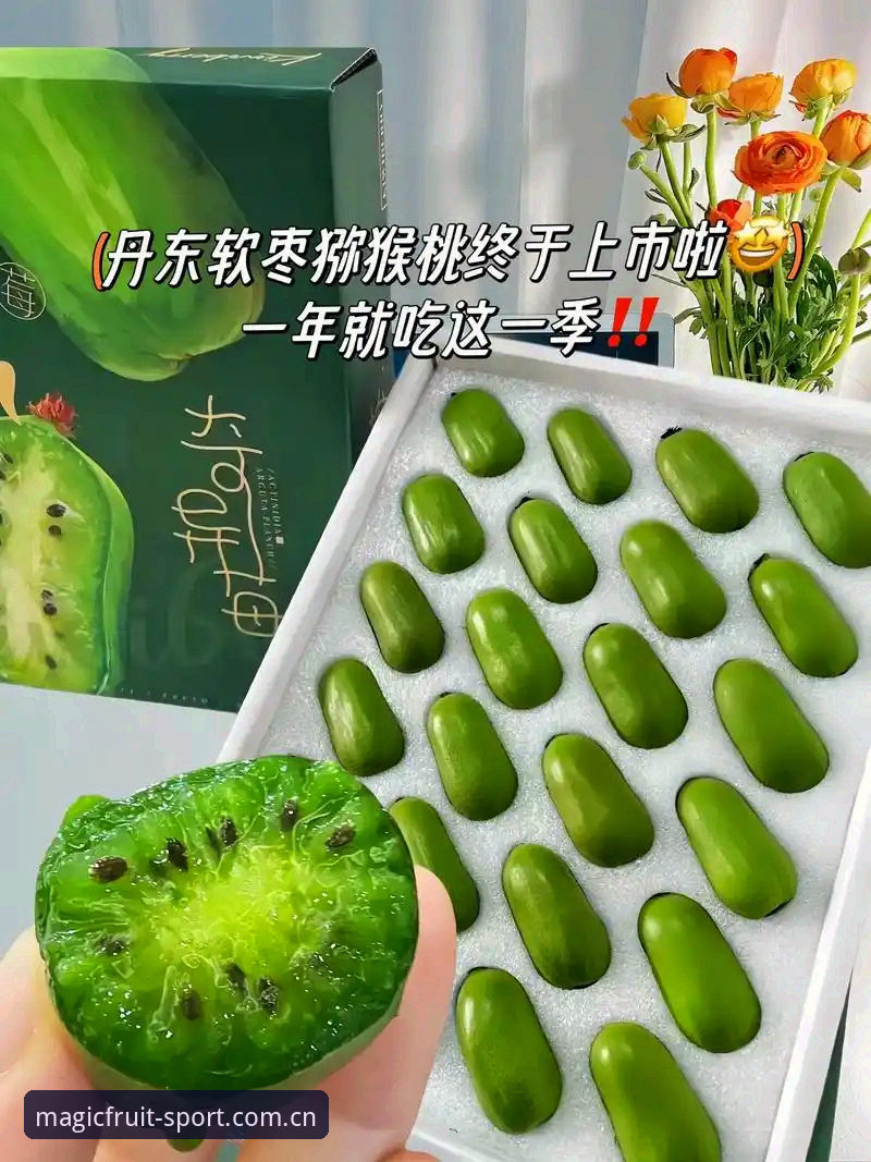奇异果体育使用教程必备 奇异果安装平台发布重大更新:奇异果体育使用教程必备最新指南,v2.1.0版带来全新移动体验
