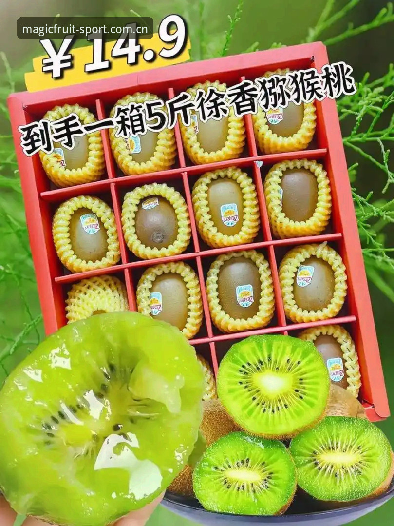 奇异果体育手机版哪个好？移动端多维度对比与深度评测解析