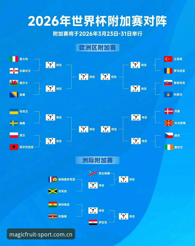 揭秘世界杯“冷场”背后：签证困局与地缘政治如何搅乱球迷观赛梦